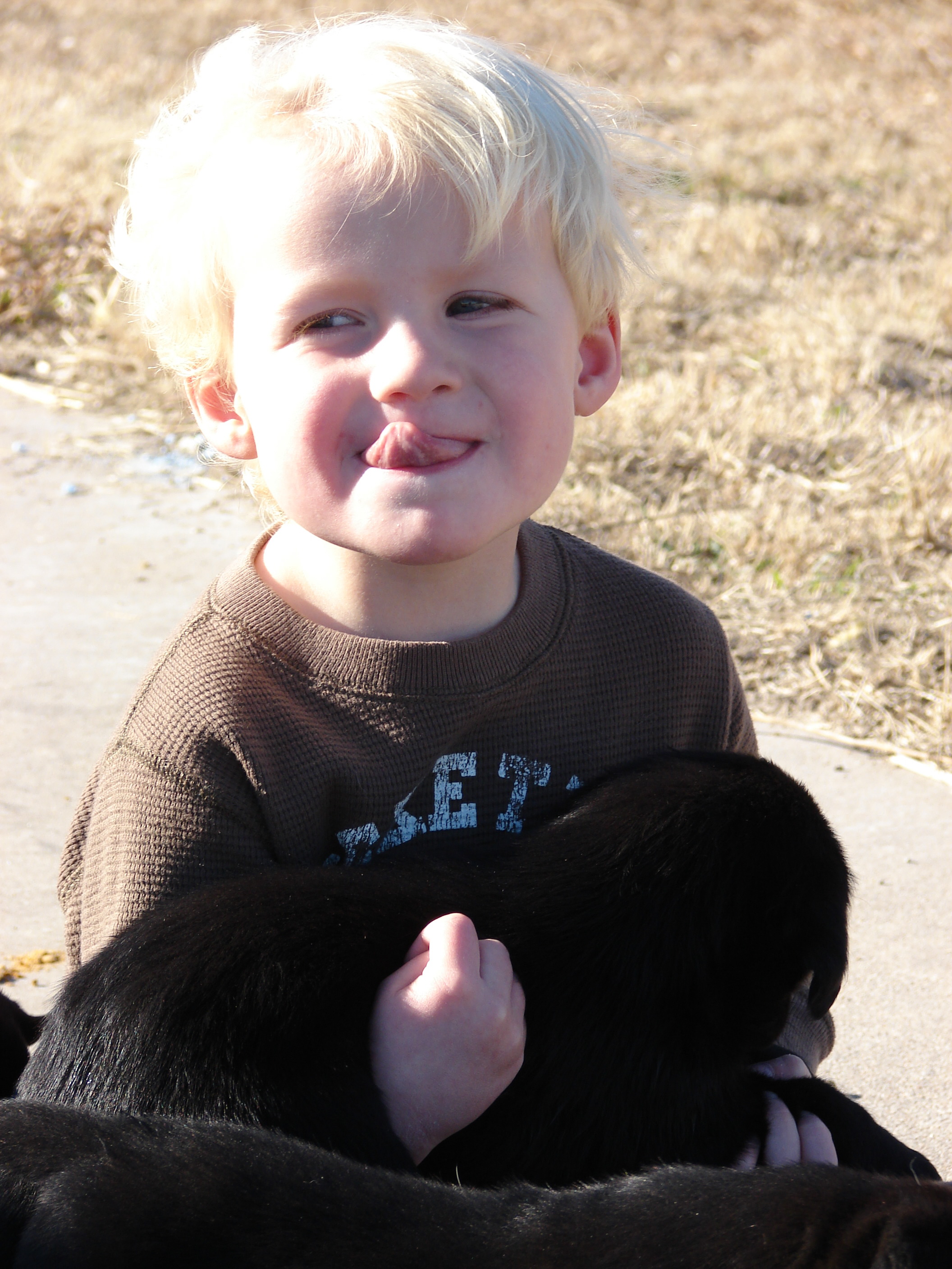 HunterlabPuppies.JPG